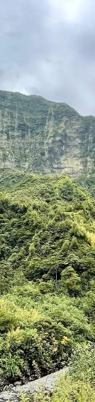 Durchquere das Herz Tahitis